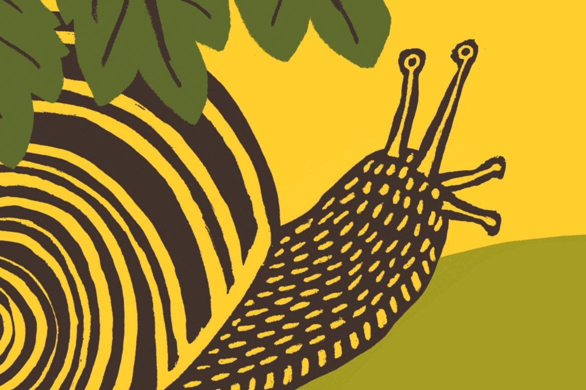 « Histoire d’un escargot qui découvrit l’importance de la lenteur » de Luis Sepúlveda, dessins Joëlle Jolivet, éditions Métailié