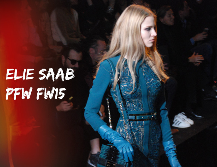 Paris Fashion Week FW15 : Elie Saab