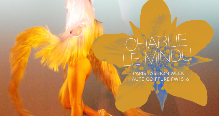 Paris Fashion Week Haute Coiffure FW15/16 : Charlie Le Mindu