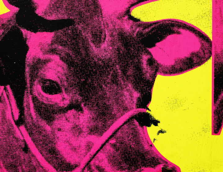 Warhol Unlimited au MAM : l’art sans limites