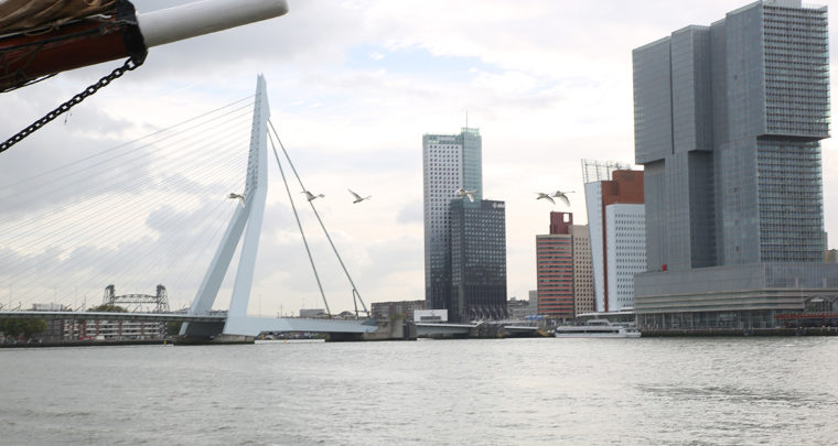 Architecture et street art à Rotterdam