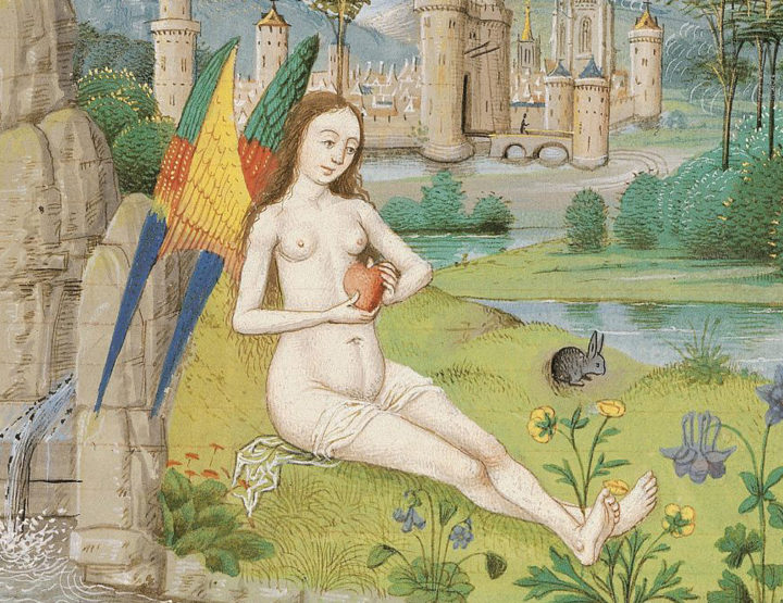 Le Moyen Âge flamboyant. Poésie et peinture, Diane de Selliers Editeur