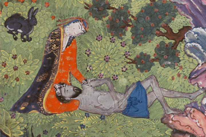 Leyli et Majnûn de Jâmi illustré par les miniatures d’Orient, Diane de Selliers Editeur