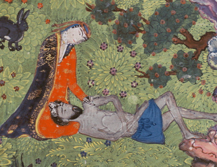 Leyli et Majnûn de Jâmi illustré par les miniatures d’Orient, Diane de Selliers Editeur